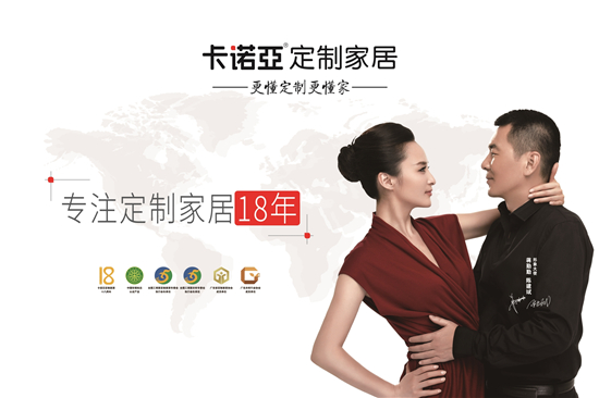 正能量网站定制家居