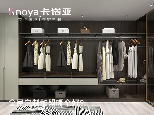 2023年辽宁全屋定制加盟选什么品牌好？
