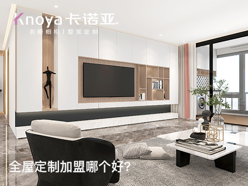 2023年江苏全屋定制加盟哪家好？